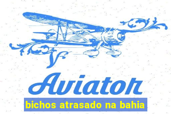 bichos atrasado na bahia